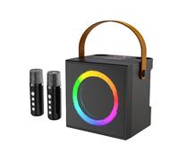 Delaman minikaraokemachine BM800 - Kit microfono professionale a sospensione, set microfono a condensatore per studio e live streaming, include 2 microfoni a filo, altoparlante da 10 W con luce