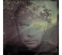 Delaney Davidson - Shining Day