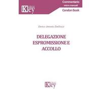 Delegazione espromissione e accollo