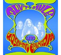 Gov't Mule Live at Roseland Ballroom (CD) Album