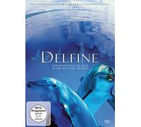 Delfine - Eine phantastische Reise in die Welt der Delfine