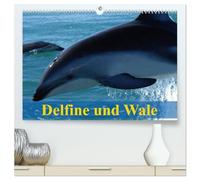 Delfine und Wale (hochwertiger Premium Wandkalender 2026 DIN A2 quer), Kunstdruck in Hochglanz: Kluge Köpfe und Giganten der Meere