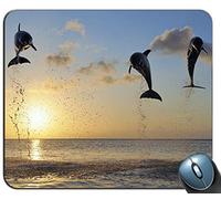 delfini nelle isole della baia Mouse pad rettangolo personalizzato, gomma antiscivolo stampata Tappetino per mouse mouse pad confortevole computer personalizzato Mouse pad