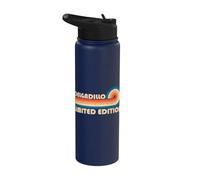 DELGADILLO Retro 70s 80s Sunset Stripe Stainless Steel Insulated Water Bottle