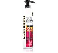 Delia Cosmetics Cameleo BB shampoo alla keratina per capelli tinti e con mèches 250 ml