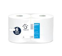 Carta igienica MAXI Jumbo Ø27cm - 304mt Ecolabel Papernet (Conf.6)