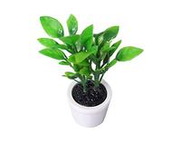 Delicate Dollhouse Bonsai Miniature Mini Doll House Pianta in vaso Decorazione creativa Accessori Giocattoli Vividi Modello Verde Pratico e Popolare Lovely and Practical