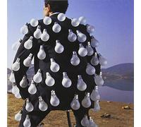 Delicate Sound of Thunder