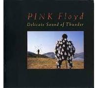 Delicate Sound of Thunder