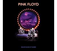 Pink Floyd Delicate Sound Of Thunder - Restored, Re Remixed clean (Vinyl LP)