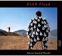 Audio Cd Pink Floyd - Delicate Sound Of Thunder (Live)