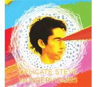 Delicate Steve Wondervisions (CD) Album