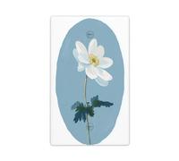 Delicato bianco anemone fiore singolo Toggle Blank Wall Plate Light Switch Cover decorativo 1 banda per cucina camera bagno Dimensioni 11,4 x 7 cm