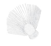 Delicato Robusto Lega di Seta Accessorio Per Capelli Con Penzoloni Cristalli Nappe Versatile Formale Abbigliamento Casual Per Le Donne Elegante Partito Dei Capelli Dei