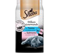 Délice Gourmands Tokyo, Cibo Umido per Gatti Con Tonno E Salmone, 12 Confezioni