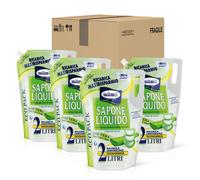Delice Sapone Liquido Fragranza Aloe Vera Ricarica Universale Maxirisparmio