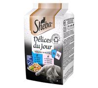 Délices du Jour Tonno e Salmone in Gelatina Sheba(R) 6x50g