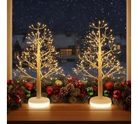 DELICHTER Albero di Natale con base illuminata, ricaricabile, con funzione dimmer, timer e 6 modalità di illuminazione, per interni, per Natale, feste, matrimoni, Pasqua, 50 cm