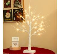 DELICHTER Albero luminoso con 24 LED bianco caldo, betulla alberello con funzione timer, funzionamento a batteria, decorazione natalizia per casa, feste, Natale, Pasqua, matrimonio, 55 cm