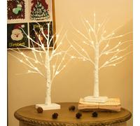 DELICHTER Set di 2 alberi di luci con 24 LED bianco caldo, betulla con funzione timer, funzionamento a batteria, decorazione natalizia per casa, feste, Natale, Pasqua, matrimonio, 55 cm