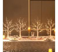 DELICHTER Set di 4 rami di luci per interni, 24 LED bianco caldo, alberi, betulle, funzionamento a batteria, decorazione natalizia per casa, feste, compleanni, matrimoni, decorazione per interni