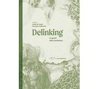 Delinking. Lo spazio della coesistenza. Ediz. illustrata