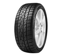Delinte AW5 (165/70 R13 79T)