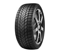 DELINTE 205 50 R17 93 H Pneumatico Winterreifen PKW