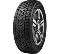 185 65 15 DELINTE WD1 88H