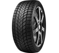 DELINTE WD 6 155/65 R14 75T TL M+S 3PMSF