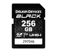 Delkin Devices - Scheda di memoria SDXC UHS-I (V30), 256 GB, colore: Nero