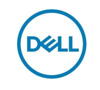 DELL 161-BBPH disco rigido interno 4 TB 7200 Giri/min 3.5" NL-SAS