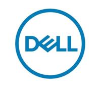 DELL 161-BCJX disco rigido interno 12 TB 7200 Giri/min 3.5" NL-SAS [161-BCJX]