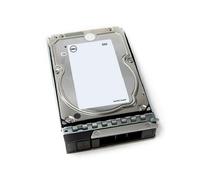 DELL 161-BCJX disco rigido interno 12 TB 7200 Giri/min 3.5 NL-SAS (Dell - Kit Cl