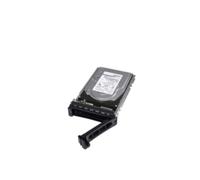 DELL 400-AEFB disco rigido interno 1 TB 7200 Giri/min 3.5" Serial ATA III