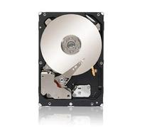 Dell 500 GB 2.5 Internal Hard Drive - Near Line SAS
