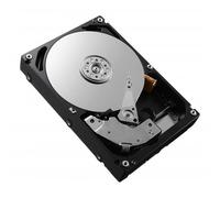 DELL 95M6K disco rigido interno 4 TB 7200 Giri/min 3.5 SATA (HD,4.0T,722E,IT06,3