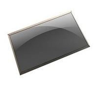 DELL 96XWH ricambio per laptop Display (ASSY LCD 13.3FHD T LGD LB 7359 - Warrant
