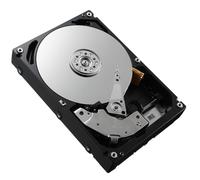 Dell GP3FR, 1,8 TB, 10000 RPM, 2,5", SAS