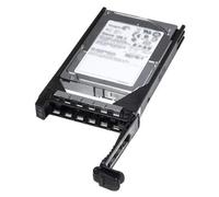 Dell HDD 1TB SAS Near Line 7,2 K 2,5 inch Hot Swap, 400-22284 (2,5 inch Hot Swap)