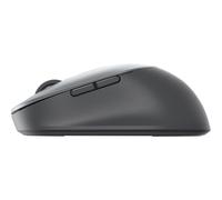 Dell MS5320W titanio grigio Mouse wireless MS5320W-GY