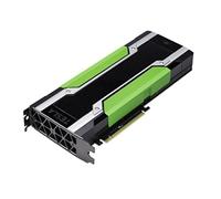 DELL Nvidia Tesla M60 NVIDIA Tesla M60 16GB - schede grafiche (Active, NVIDIA, Tesla M60, GDDR5, PCI Express x16 3.0, 0-45 °C)
