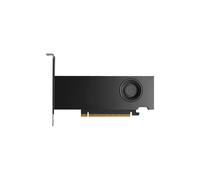 DELL RTX PRO 2000 Blackwell NVIDIA 16 GB GDDR7 (NVIDIA - Workstation Edition - s