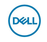 Dell Technologies 1.92TB SSD UP TO SAS 24GBPS ISE RI 5397184823095