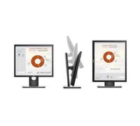 Dell Technologies DELL 19 MONITOR - P1917S 5397184200384