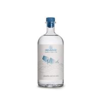 Dellavalle Grappa di Moscato Viglianottera, Grappa Italiana, 42% vol, 700 ml