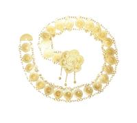 Delle Donne D'oro Alla Moda Singolo Strato Moneta Della Catena Del Corpo Della Catena Del Corpo Arabo Etnico Campane, Misura unica, Metallo Metallo Esotico