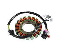 Dello Statore Bobina Accensione Generatore Statore Della Motocicletta Per SWM GRAN MILANO MY16 17 18 2016-2018 ACE OF SPADES OEM:31140136 Parti