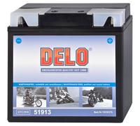 Delo Batteria Agm 51814 51913 12V/19AH 210A
