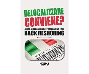 DELOCALIZZARE CONVIENE?: Guida al fenomeno dell'Offshoring e del Back Reshoring: 119